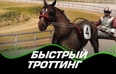 Игровой автомат Instant Trotting в казино ПокерДом на официальном сайте. Запускайте прибыльный слот от надежного провайдера и погрузитесь в увлекательную игру. Только лицензионные игры, реальные выигрыши и быстрые выплаты на PokerDom Casino.
