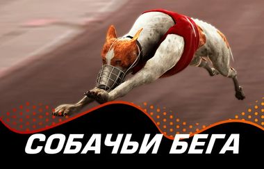 Игровой автомат Virtual Greyhounds в казино ПокерДом на официальном сайте. Запускайте прибыльный слот от надежного провайдера и погрузитесь в увлекательную игру. Только лицензионные игры, реальные выигрыши и быстрые выплаты на PokerDom Casino.