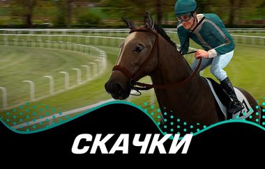 Игровой автомат Virtual Horses в казино ПокерДом на официальном сайте. Запускайте прибыльный слот от надежного провайдера и погрузитесь в увлекательную игру. Только лицензионные игры, реальные выигрыши и быстрые выплаты на PokerDom Casino.