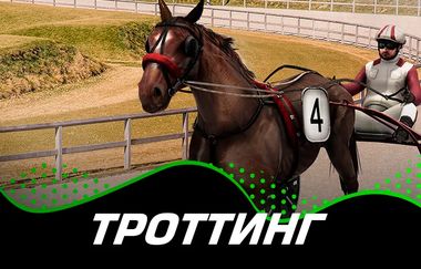 Игровой автомат Virtual Trotting в казино ПокерДом на официальном сайте. Запускайте прибыльный слот от надежного провайдера и погрузитесь в увлекательную игру. Только лицензионные игры, реальные выигрыши и быстрые выплаты на PokerDom Casino.